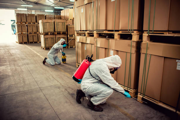 Best Best Pest Control Companies  in Saginaw, MI