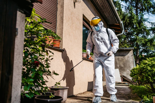 Best Termite Control Services  in Saginaw, MI
