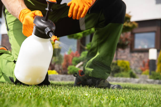 Best Affordable Pest Control Services  in Saginaw, MI