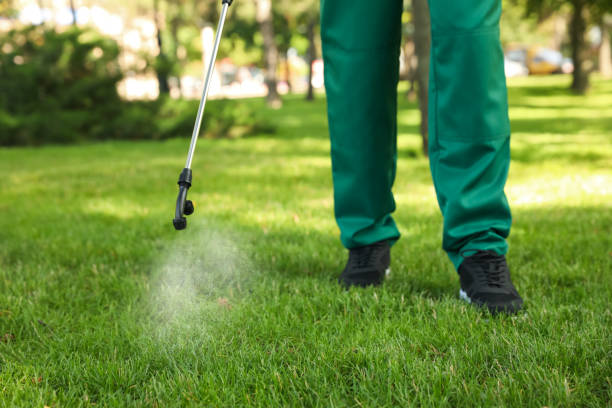Best Flea Control Services  in Saginaw, MI