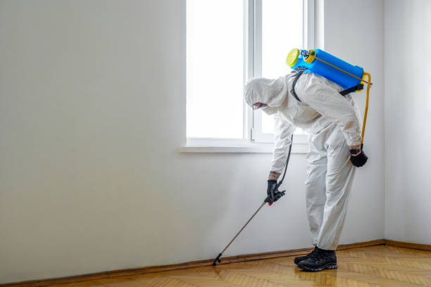 Best Cockroach Control Services  in Saginaw, MI