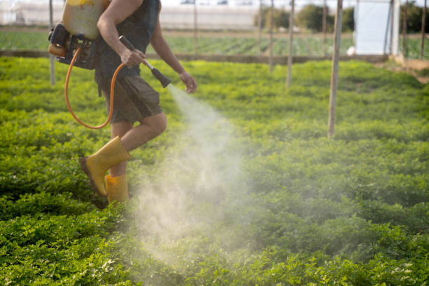 Best Pest Prevention Services  in Saginaw, MI