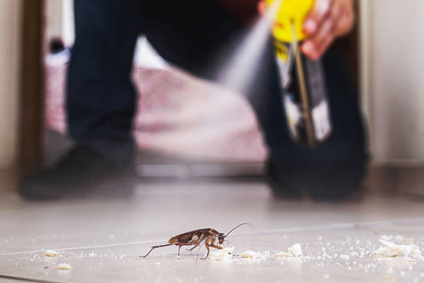 Best Wasp Removal Services  in Saginaw, MI