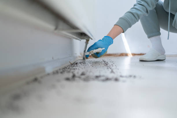 Pest Prevention Services in Saginaw, MI