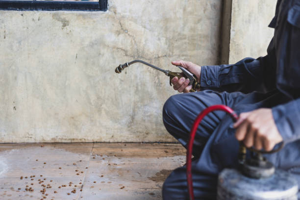 Reliable Saginaw, MI Pest Control Solutions